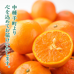 n204 【期間限定】＜先行予約受付中！2026年2月中旬～3月上旬の間に順次発送予定＞鹿児島県種子島産 たんかんMサイズ(5kg・約40個入り) タンカン 桶柑 柑橘 かんきつ 果物 くだもの 果実