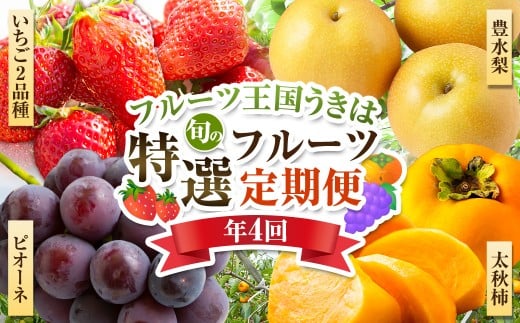 フルーツ王国うきは 特選フルーツ定期便  【年4回定期便】 いちご ピオーネ 豊水梨 太秋柿 イチゴ ぶどう 梨 柿 果物 くだもの フルーツ 定期便 福岡県 うきは市