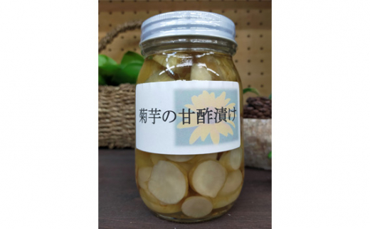 【五霞町産菊芋】菊芋の甘酢漬け・菊芋のパウダーセット / きくいも キクイモ 漬物 粉末 茨城県 【2025年1月中旬より順次発送】