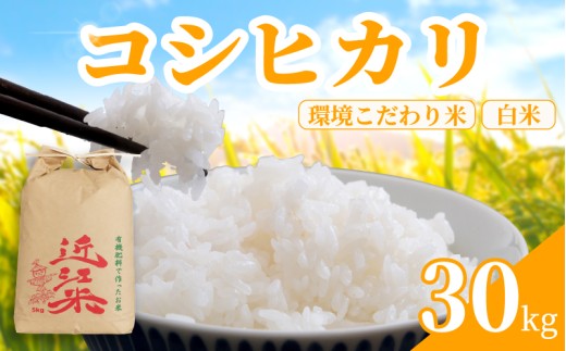 【 令和8年産 】 新米 コシヒカリ 30kg 白米 米 R8 年産 こしひかり 2026年産 国産 農家直送 環境こだわり お試し用 単品 小分け 単品 お米 こめ おこめ ライス コメ 精米 おいしい 産地直送 人気 おすすめ 30キロ kome okome 2026年産 送料無料 滋賀県 日野町 育農舎 [IN013_R8]