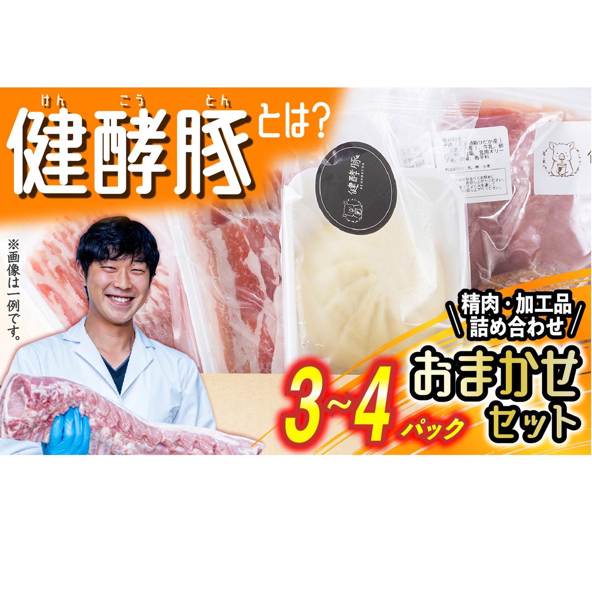 北海道産 健酵豚 おまかせ セット 3～4パック 豚肉 精肉 加工品 おためし 詰め合わせ ブランドポーク