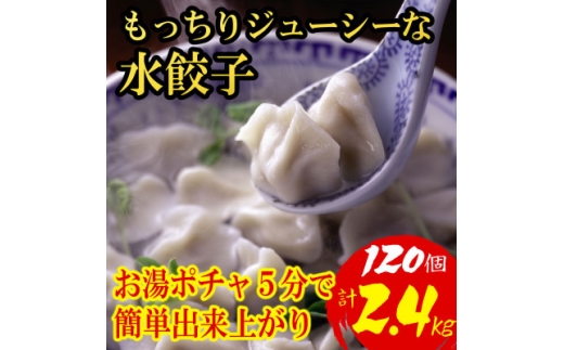 ＜小分けで便利120個 計2.4kg＞もっちりジューシーな水餃子(福岡県)【1763809】
