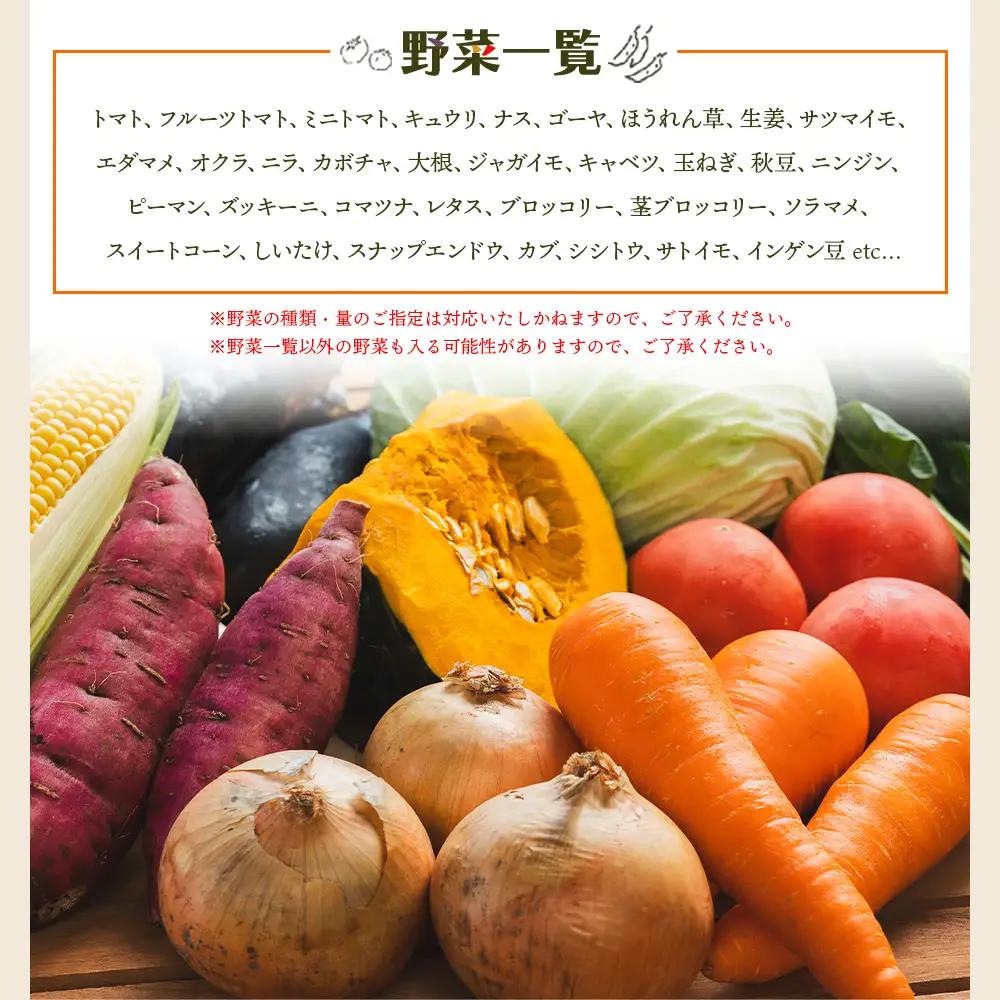 野菜 定期便【全6回】 野菜 定期便 Wyr-0032