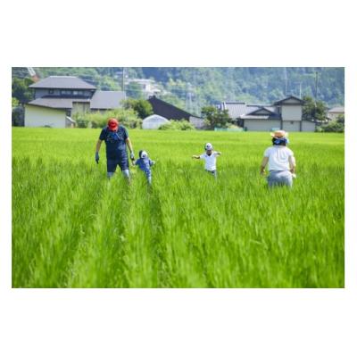 ふるさと納税 伊那市 令和8年産　信州伊那市　「ずくだして」つくった多笑米コシヒカリ玄米　5kg |  | 01