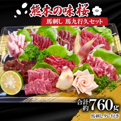 ふるさと納税 山鹿市 熊本の味「桜」　馬刺し　馬九行久セット　約760g　タレ付