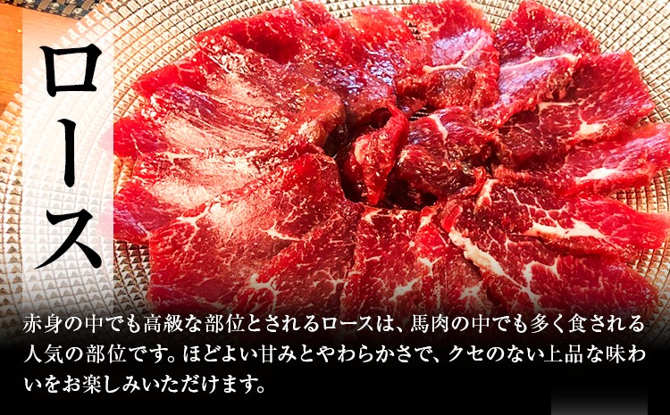 
            馬刺し入門セット 合計200g 2種類 セット 霜降り100g ロース100g 有限会社七城町特産品センター《90日以内に出荷予定(土日祝除く)》熊本県 菊池市 馬肉 馬刺し 食べ比べ 詰め合わせ ブロック 冷凍 送料無料
          