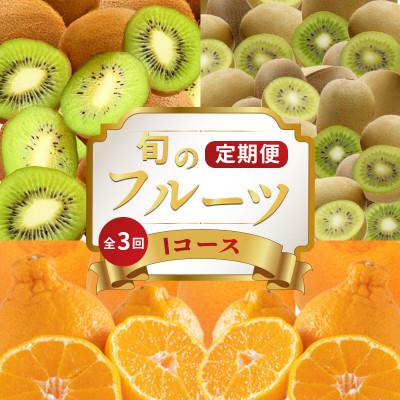 ふるさと納税 丸亀市 【発送月固定定期便】フルーツ定期便 Iコース(香緑キウイ キウイっこ デコポン)全3回