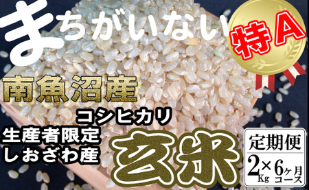 【定期便】玄米 生産者限定 南魚沼しおざわ産コシヒカリ2Kg×6ヶ月