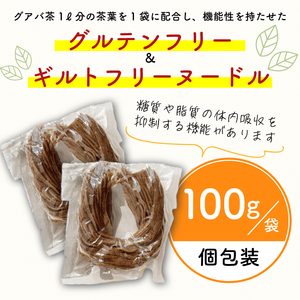 有機グアバ農園のグルテンフリー玄米パスタ麺 100g×6袋セット【グルテン フリー ダイエット 健康 食品  人気 おすすめ 高知県 南国市】