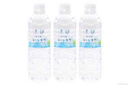 【48本】黒部からのおくりもの 500ml×24本×2ケース 水 飲料水 名水 ミネラルウォーター 2個口配送/IAC/富山県 黒部市 備蓄 保存 飲料類 