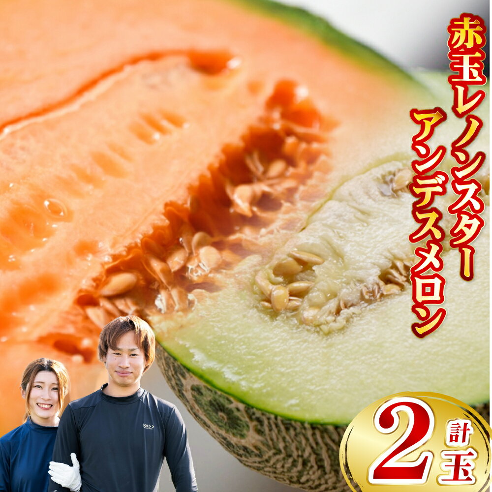 【ふるさと納税】赤玉レノンスター・アンデスメロン 各1玉 計2玉 食べ比べセット 詰め合わせ メロン めろん 果肉 赤肉 くだもの 果物 果実 フルーツ 熊本県産 国産 九州 熊本県 送料無料 【2026年5月下旬発送開始】