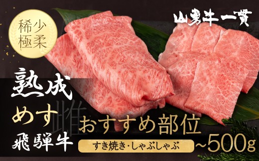 
                  ＜8月から寄附額改定＞発送時期選べる《父の日 6/18～21日お届け対応》飛騨牛 おすすめ部位 すき焼き・しゃぶしゃぶ用 300g or 500g / A4 A5 飛騨牛 飛騨の牧場で育った熟成飛騨牛『山勇牛』 牛肉 和牛 肉 熨斗掛け すきやき すき焼き肉 飛騨市
                