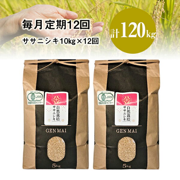 【ふるさと納税】《 新米先行予約 》定期便 12回 令和7年産 新米 自然栽培米 ササニシキ 10kg (5kg×2) 選べる 玄米 精米 お米 ご飯 米 岩手県 一関市