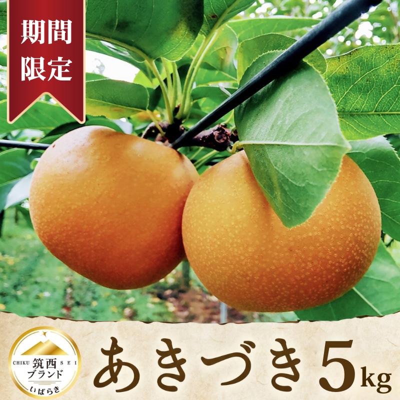 【ふるさと納税】【 JA 北つくば 】 筑西ブランド 認証品 あきづき ( 選べる 5kg 10kg ) 2026年産 先行予約 梨 果物 フルーツ なし ナシ 和梨 秋月 秋月梨 あきづき梨 くだもの デザート 茨城