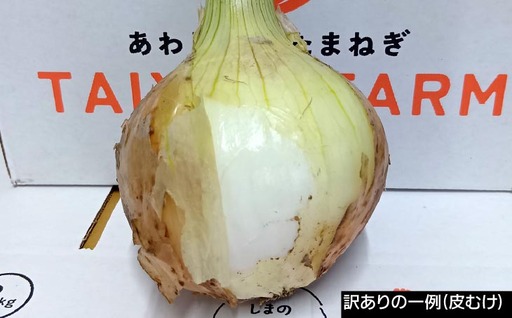 訳あり品　淡路島産新玉ねぎ 10kg　◆配送２月～５月