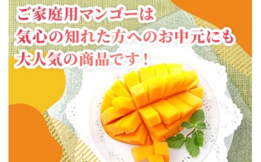 AI003　沖縄県宮古島・完熟マンゴー2kg【ご家庭用】ティダマンゴー宮古島農園