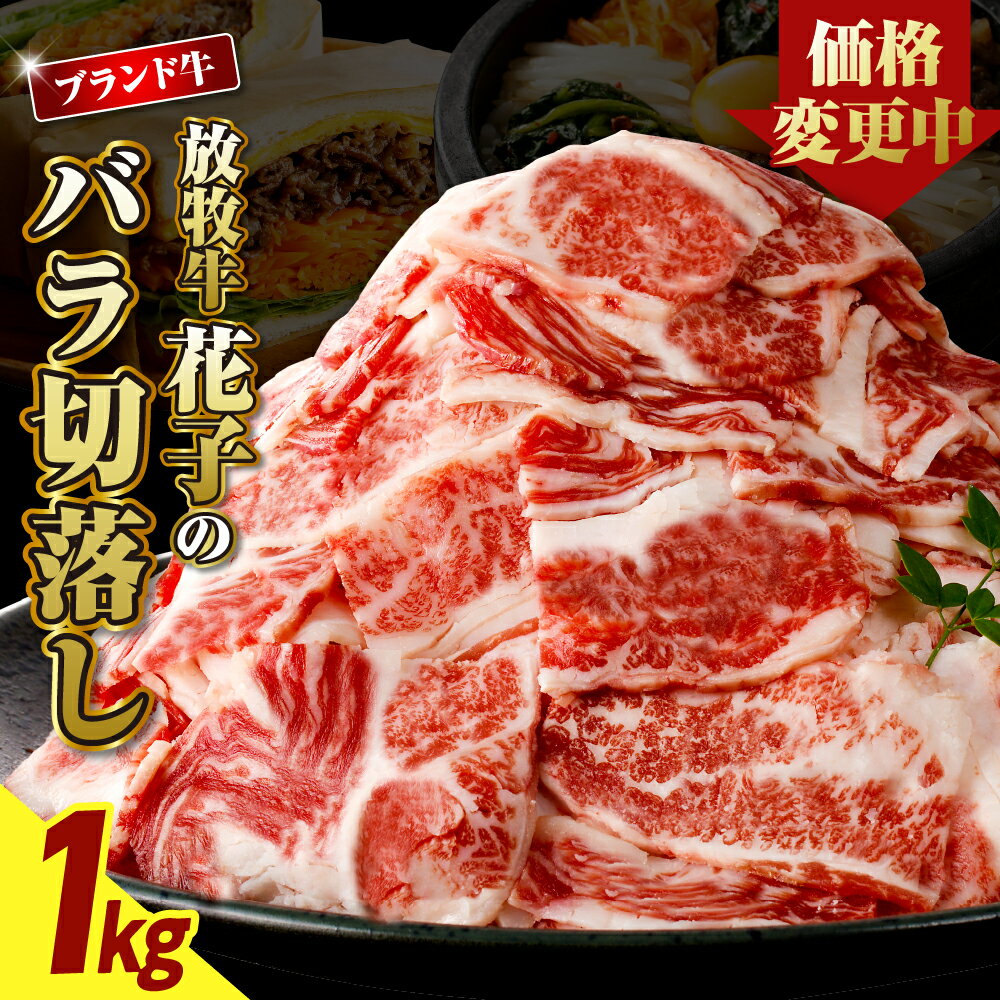 【ふるさと納税】牛肉 切り落とし 1kg 肉 牛 切り落し バラ肉 赤身 国産牛 国産牛切り落とし 薄切り バラ盛り 小分け すき焼き 牛丼 しゃぶしゃぶ 放牧牛 家計応援 お取り寄せ グルメ 冷凍 国産 便利 北海道産 北海道 えりも町 送料無料