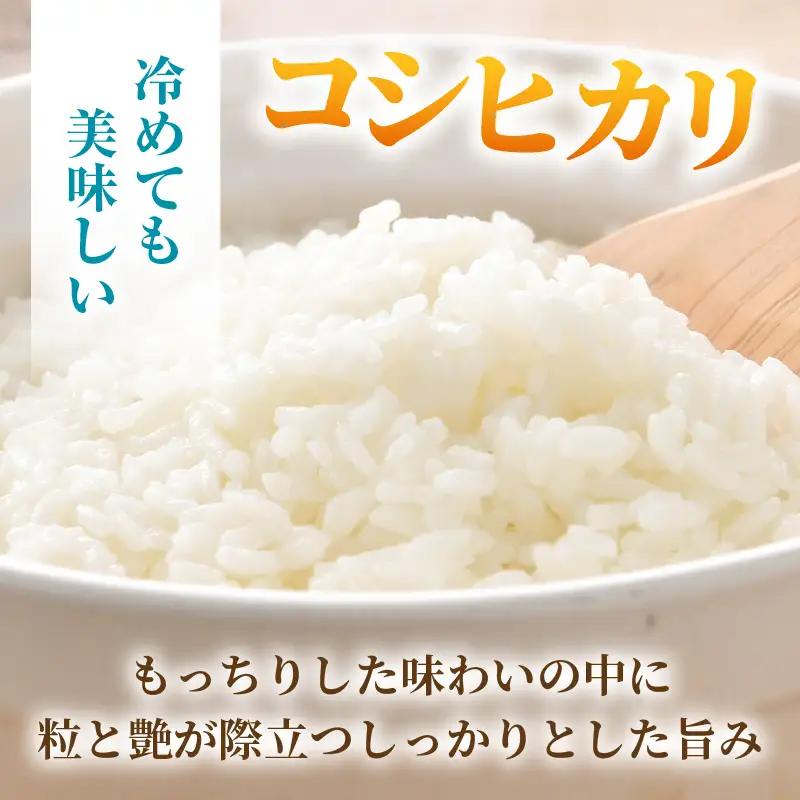 【先行予約】【令和8年産 新米】ワルツ農場のコシヒカリ クリーン精米 5kg 特別栽培米【納得の美味しさ】減農薬 有機肥料使用 / お米 ご飯 白米 発送直前 精米 つや 艶 甘味 旨み 北陸 あわら