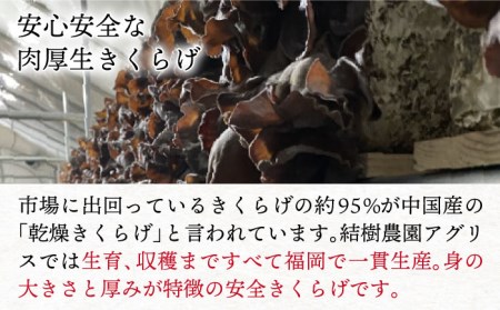 結樹農園アグリス めんたいきくらげ300g×5P 《糸島》【結樹農園アグリス】[AAJ003] きくらげ 国産 明太 明太子 ご飯のおとも ごはんのお供