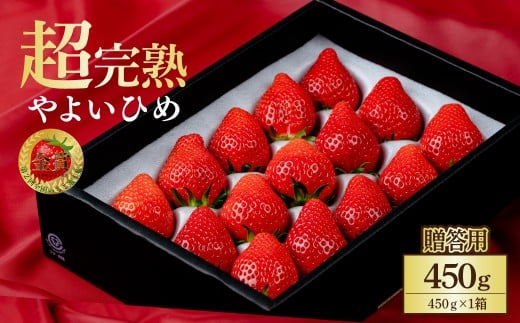 【先行受付：1月中旬以降発送】いちご 鈴木ファームの朝摘み やよいひめ ギフト 450g×1箱 | いちご イチゴ 苺 とちあいか 完熟 甘い あまい 果物 フルーツ 贈答 ギフト プレゼント 鈴木ファーム 栃木県 茂木町
