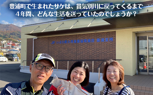 【豊浦町内】サケ見学ツアー（5人用） TYUL021