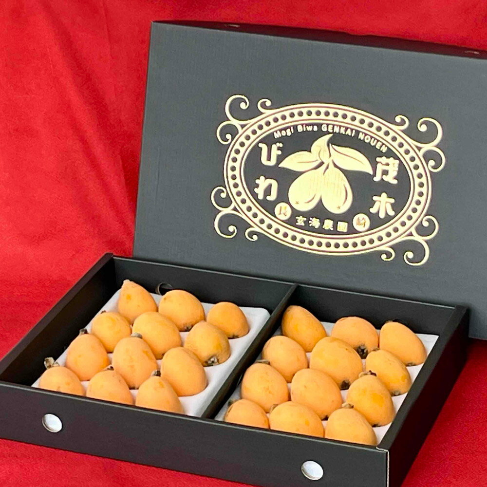【ふるさと納税】長崎 茂木びわ 茂木 Lサイズ 24個×1箱 びわ 果物 フルーツ 枇杷 ギフト 贈り物 長崎市産 長崎県産 九州産 送料無料