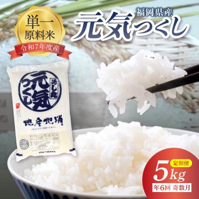 ふるさと納税 宗像市 令和7年産 【定期便/年6回】元気つくし5kg【ほたるの里】_HB0204