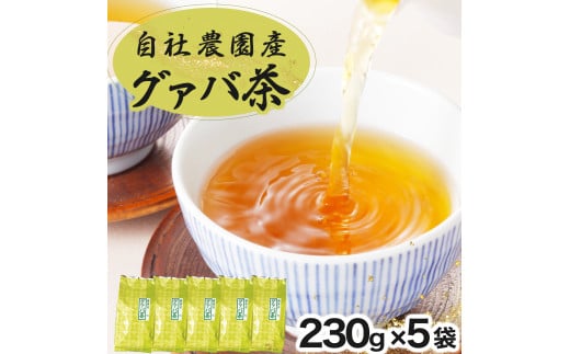 KU324 宮崎県串間市産 グァバ茶 (230ｇ×5袋)  【宮崎果汁】