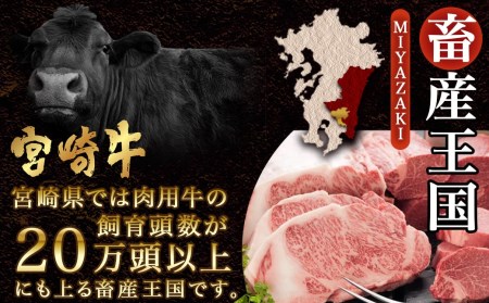 宮崎牛ヒレ・サーロインステーキ640g_AD-2504_(都城市) 牛肉 ブランド牛 ヒレステーキ(120g×2枚) サーロインステーキ(200g×2枚) ソース・塩コショウ付 真空パック 希少部位