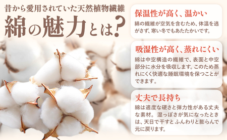 コットン 和組 ふとん グリーン 綿100％ 株式会社ダルマックス《30日以内に出荷予定(土日祝除く)》 ダルマックス 羊毛 寝具 布団 掛け布団 敷布団 セット
