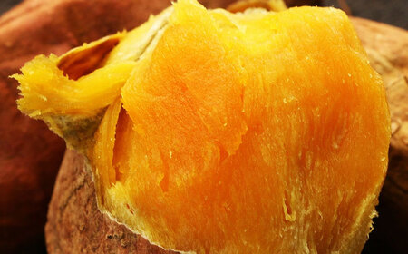 皮までパクッと有機冷凍焼き芋5袋&nbsp;五島市/株式会社アグリ・コーポレーション[PDB029]