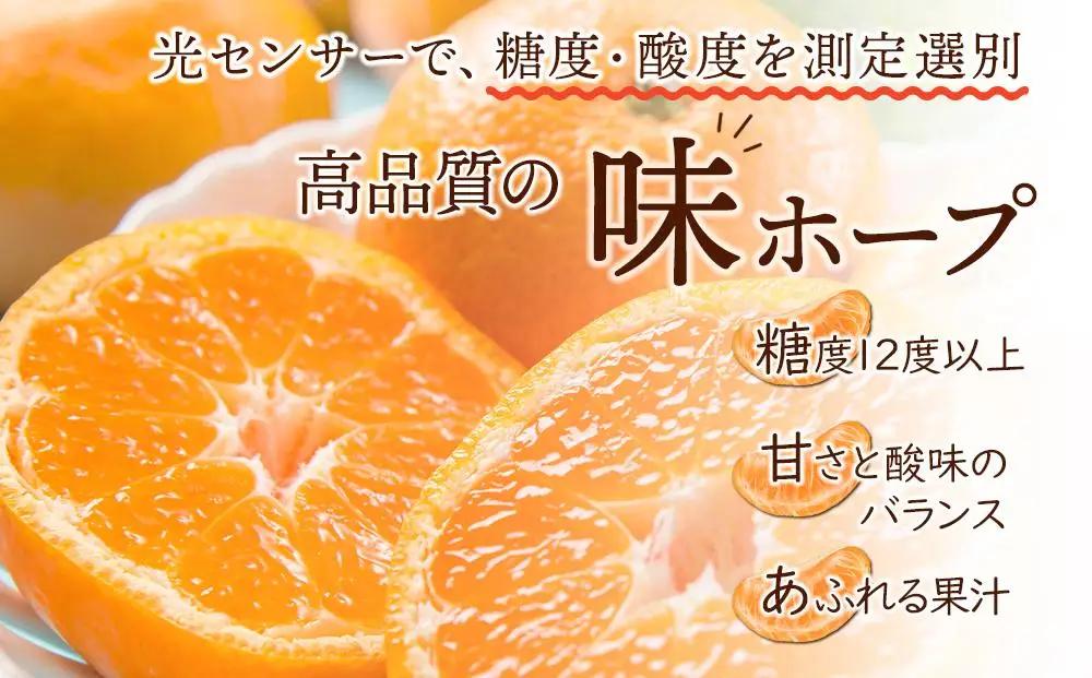 【糖度12度以上！】長崎県産 みかん 味ホープ 約10kg＜期間限定／先行予約＞【2026年11月中旬以降順次発送】｜みかん 柑橘