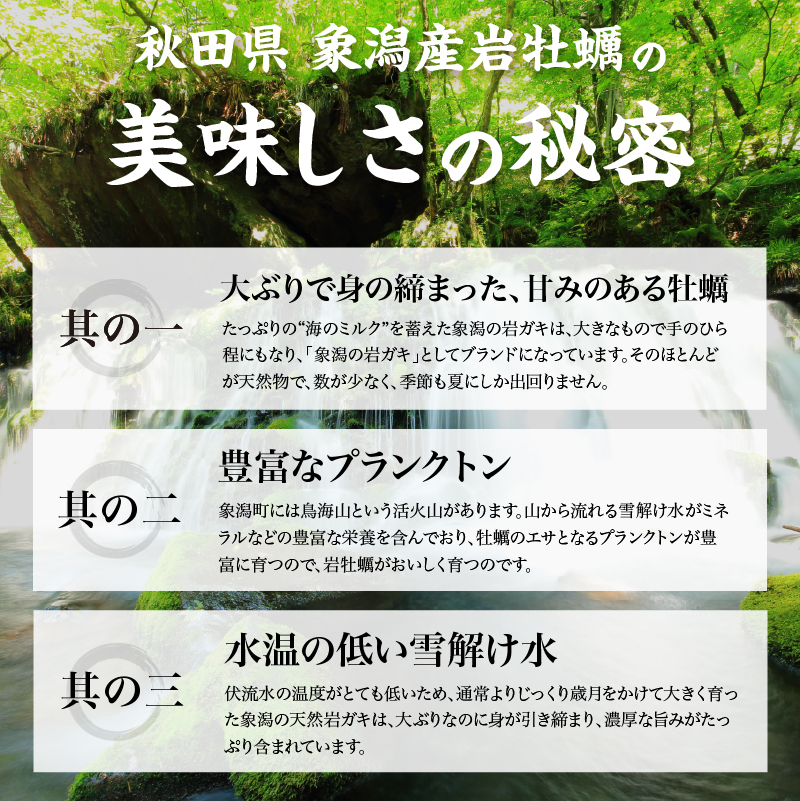 先行予約 秋田の肉厚な天然 岩牡蠣（岩ガキ 5個以上）ナイフ無し かき カキ 秋田県 にかほ市産 天然 岩牡蠣  殻付 牡蠣 海産物 魚介類 海鮮