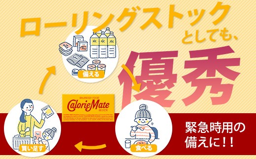 カロリーメイト ブロック 2本入り 3種類 各20箱 計60箱 【大塚製薬 チョコ バニラ メープル 5大栄養素 徳島県 那賀町 非常食 常備食 災害 新生活 備蓄 長期保存 栄養食】MS-8-1