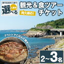 【ふるさと納税】＜人数が選べる！＞『パズル』オリジナル！阿久根の観光&食ツアーチケット(2～3名) 阿久根 海の幸 山の幸 ごはん 秘境 絶景スポット アウトドア アクティビティ 自然 体験 ツアー チケット【パズル】