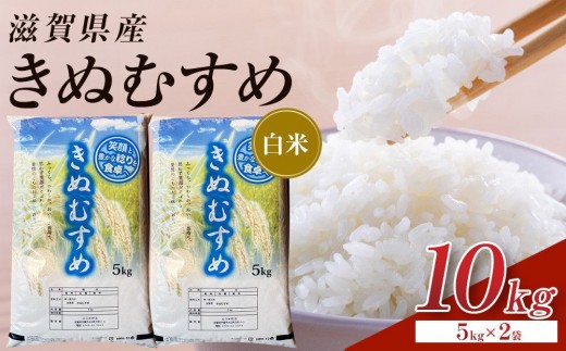 【令和8年産 新米 先行予約】近江米きぬむすめ白米10kg（5kg×2袋）※2026年9月～発送