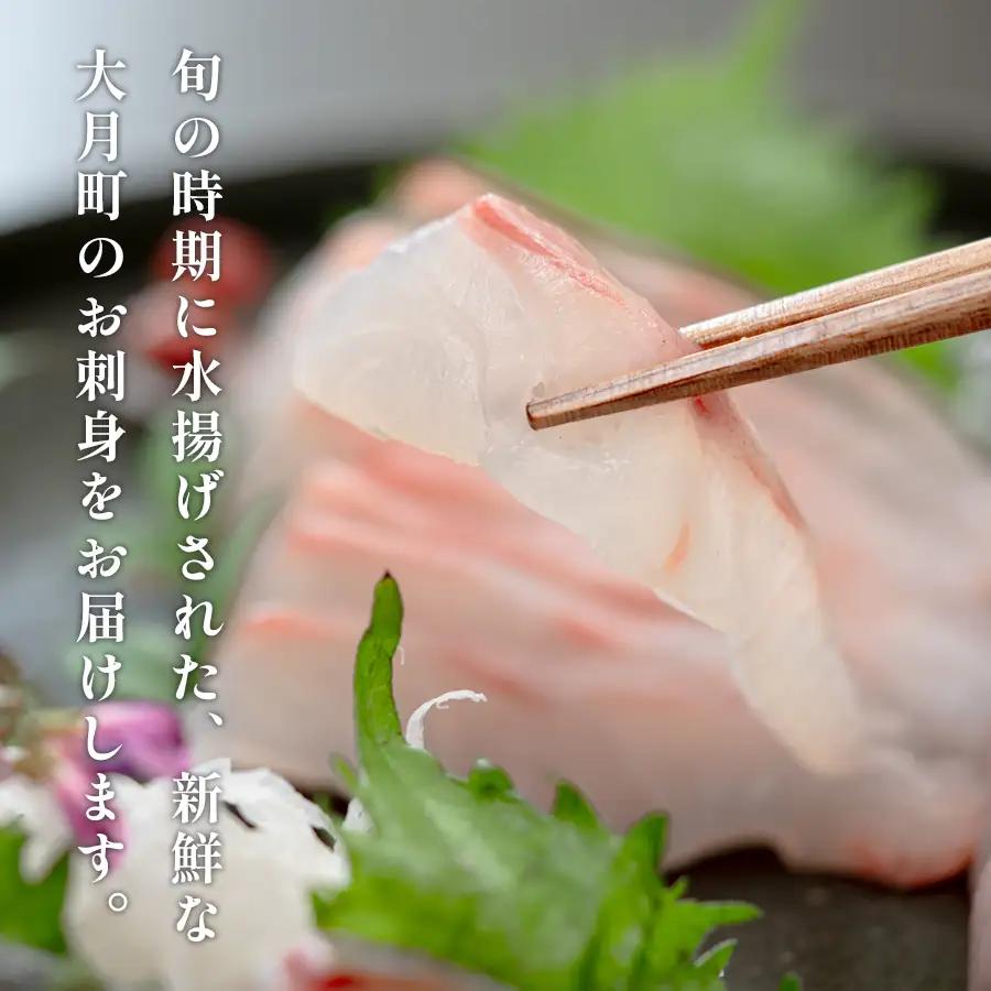 旬のお刺身用 柵セット 2-3種 高知 海鮮 盛り合わせ 食べ比べ 鮮度抜群 刺し身 グルメ 酒の肴
