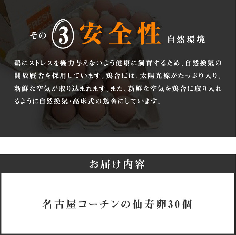 名古屋コーチン卵（30個入り）