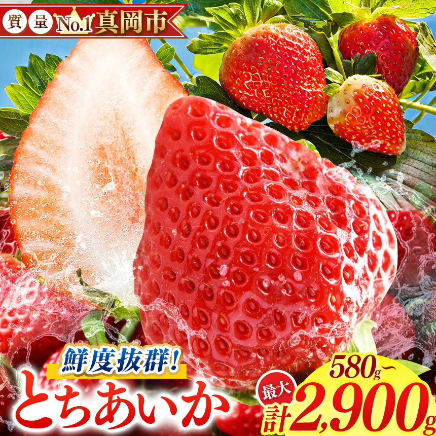 【ふるさと納税】【先行予約】鮮度抜群 とちあいか 約580～約2900g | 選べる 容量 1箱 2箱 3箱 4箱 5箱 日本一 産地 大粒 冬 味覚 いちご 苺 イチゴ ストロベリー 大きい ジューシー 甘い あまい 甘味 たっぷり 大容量 | 人気 レビュー 栃木県 真岡市 送料無料