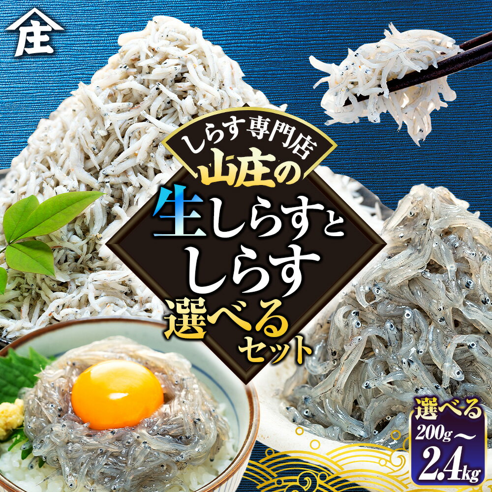 【ふるさと納税】 【選べるセット】 生しらす 200g 400g 訳ありしらす干し 500g 1kg セット 冷凍 真空パック しらす干し 愛知県 南知多町 師崎 生シラス 美味しいしらす 人気しらす シラス 海鮮 しらす丼 シラス 南知多 愛知県