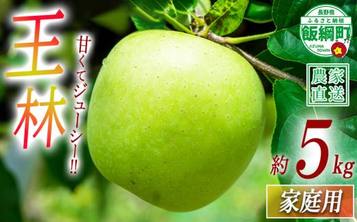 りんご 王林 家庭用 5kg 中村ファーム 沖縄県への配送不可 2026年10月下旬頃から2026年12月中旬頃まで順次発送予定 令和8年度収穫分 長野県 飯綱町 [0560]