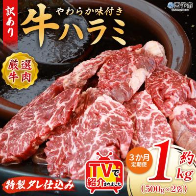 ふるさと納税 西予市 【定期便3ヶ月】<やわらか 味付き 牛ハラミ 約1kg 特性タレ漬け>肉 おいしい 愛媛