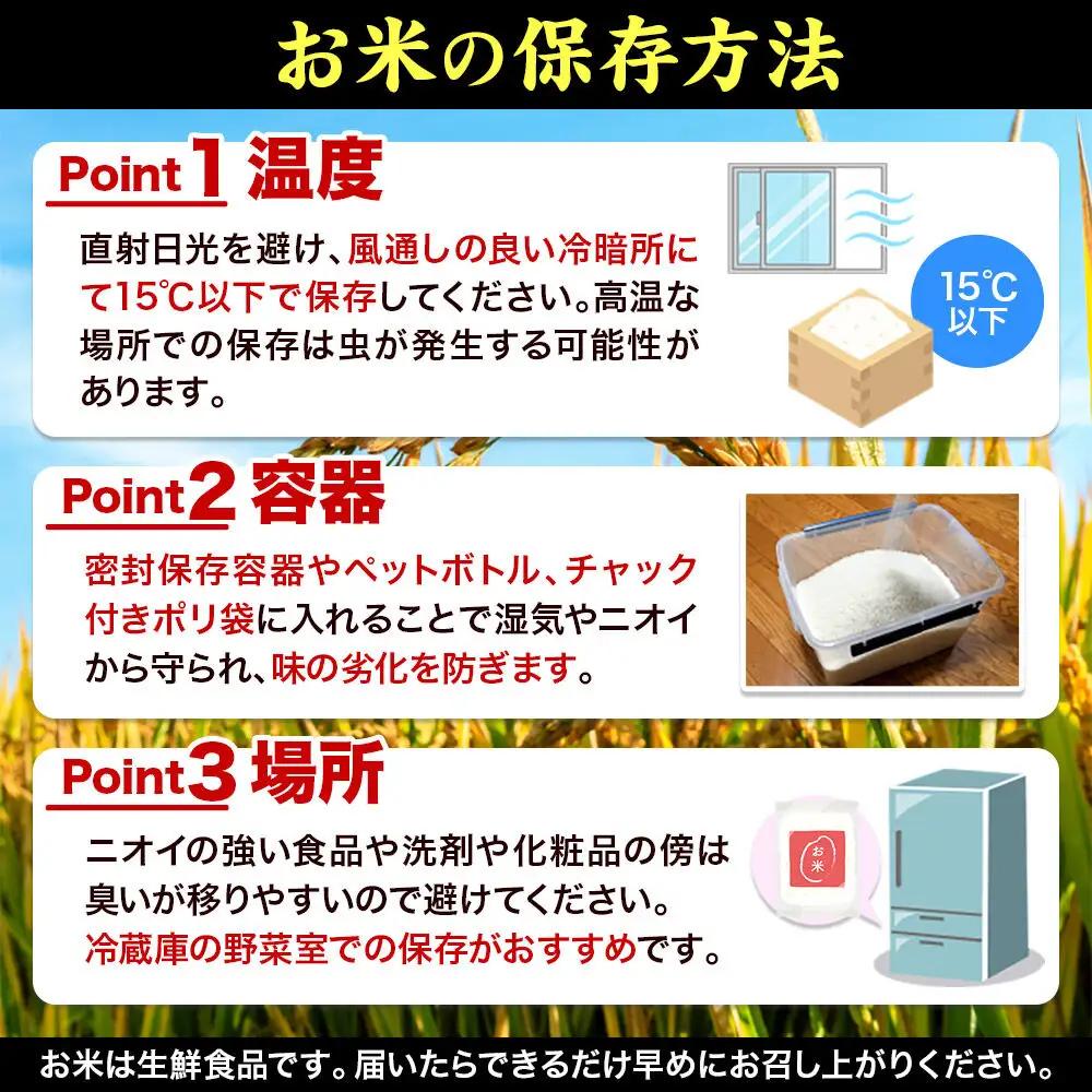 米 26年10月以降発送 令和8年産 定期便2ヶ月 ササニシキ 5kg