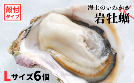 【のし付き 海士のいわがき】殻付き Lサイズ 6個 岩牡蠣 生食可 新鮮クリーミー 冷凍 牡蛎 牡蠣 かき カキ 岩牡蠣 いわがき CAS CAS冷凍 父の日 母の日 バーベキュー ギフト