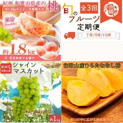 ふるさと納税 美浜町 【発送月固定定期便】紀州和歌山産旬のフルーツセット(桃・シャインマスカット・ひらたねなし柿)全3回
