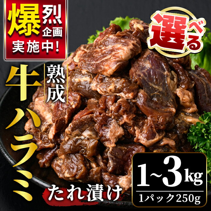 【ふるさと納税】＜選べる＞ 熟成 牛 ハラミ 1kg 2kg 3kg 味付け 味付け肉 小分け 冷凍 焼肉 焼き肉 牛 牛肉 肉 お肉 ビーフ お取り寄せ ご家庭用 おうちご飯に ご自宅用 茨城県 【そうざい男しゃく（株式会社池延）】 【ho1468-1】【ho1469】【ho1470】