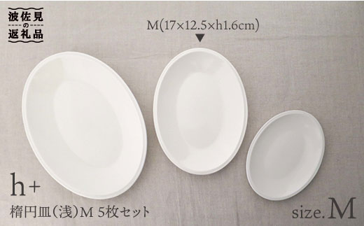 
【波佐見焼】h+ 楕円皿 (浅) プレート M 5枚セット 食器 皿 【堀江陶器】 [JD19]
