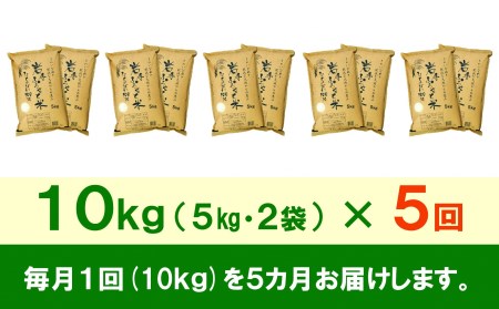 3人に1人がリピーター!☆全5回定期便☆ 岩手ふるさと米 10kg(5㎏×2)×5ヶ月 令和5年産 一等米ひとめぼれ 東北有数のお米の産地 岩手県奥州市産 [U0164]