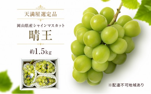 
                  【天満屋選定品】岡山県産 シャインマスカット 晴王 約1.5kg（2026年発送）
                
