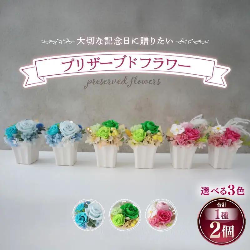 プリザーブドフラワー【グリーン】 2個セット ＜大切な記念日に ペアで飾って＞ ／ インテリア ウェディング 結婚祝 結婚記念日 誕生日 お祝い ギフト プレゼント ブリザーブド フラワー 花 アレン